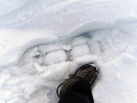 Riese im Schnee
